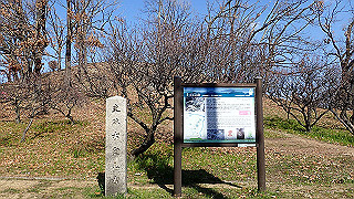 p2050404_thumb.jpg