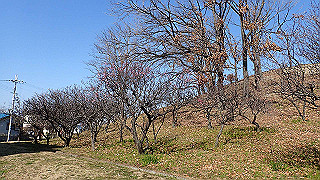 p2050405_thumb.jpg