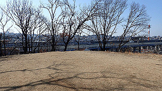 p2050408_thumb.jpg