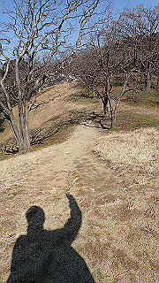 p2050410_thumb.jpg