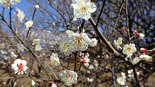 p2050412_thumb.jpg
