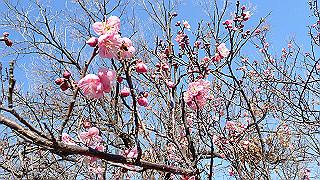 p2050414_thumb.jpg