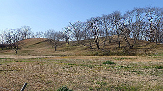 p2050415_thumb.jpg