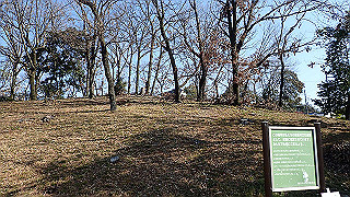 p2050418_thumb.jpg