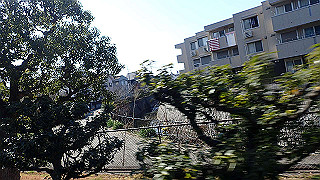 p2050419_thumb.jpg