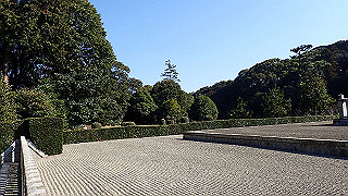p2050422_thumb.jpg