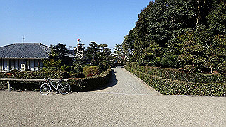 p2050424_thumb.jpg