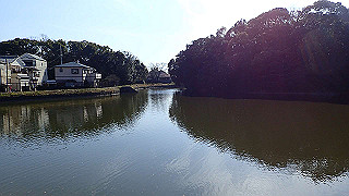 p2050429_thumb.jpg