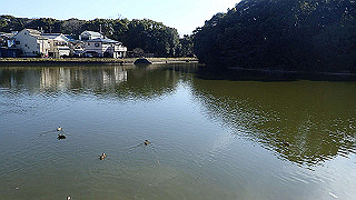 p2050430_thumb.jpg