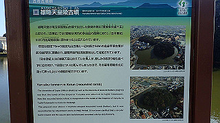 p2050431_thumb.jpg