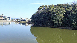 p2050432_thumb.jpg