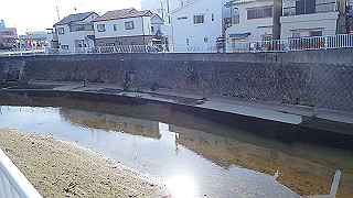 p2050434_thumb.jpg