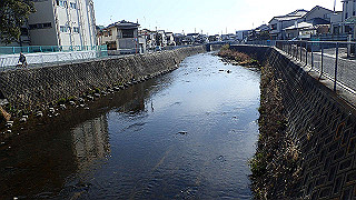 p2050437_thumb.jpg
