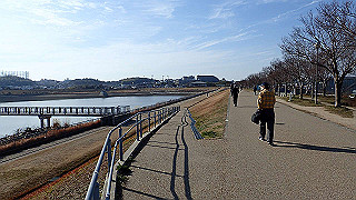 p2050454_thumb.jpg
