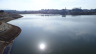 p2050457_thumb.jpg
