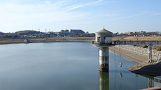 p2050458_thumb.jpg