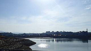 p2050459_thumb.jpg