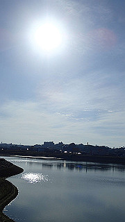 p2050460_thumb.jpg