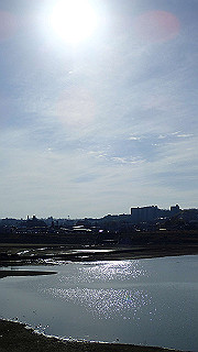 p2050464_thumb.jpg
