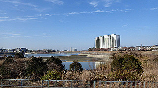 p2050466_thumb.jpg