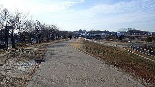 p2050467_thumb.jpg