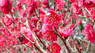 p2180470_thumb.jpg