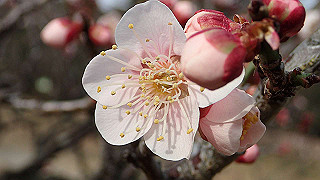 p2180472_thumb.jpg