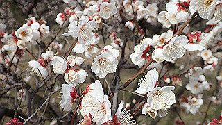 p2180476_thumb.jpg