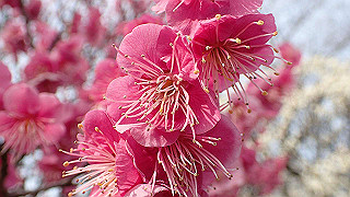 p2180479_thumb.jpg