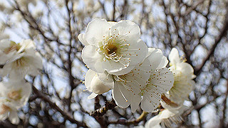 p2180480_thumb.jpg