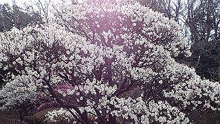 p2180481_thumb.jpg