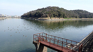 p2180491_thumb.jpg