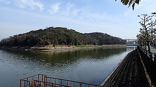 p2180492_thumb.jpg