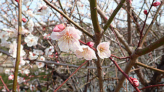 p2180494_thumb.jpg