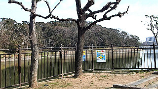 p2180495.mov_thumb.jpg