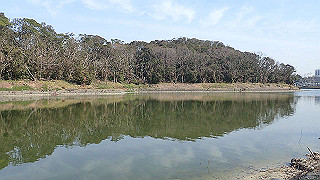 p2180496_thumb.jpg