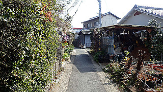 p2180498_thumb.jpg