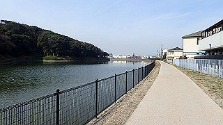 p2180509_thumb.jpg