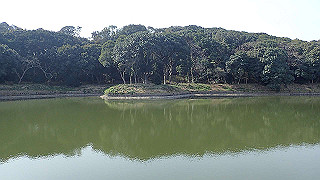 p2180510_thumb.jpg