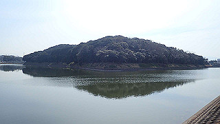 p2180515_thumb.jpg