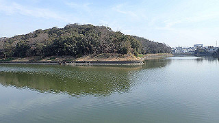 p2180521_thumb.jpg