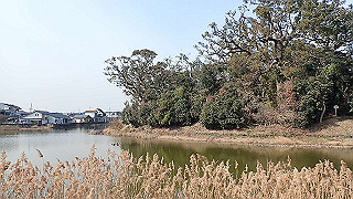 p2180528_thumb.jpg
