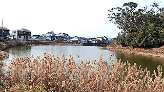 p2180530.mov_thumb.jpg