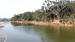 p2180532.mov_thumb.jpg
