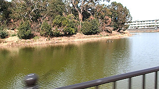 p2180534.mov_thumb.jpg