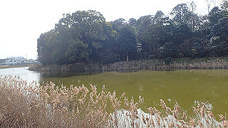 p2180535_thumb.jpg