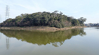 p2180546_thumb.jpg