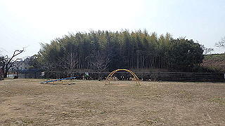 p2180551_thumb.jpg