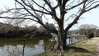 p2180555_thumb.jpg