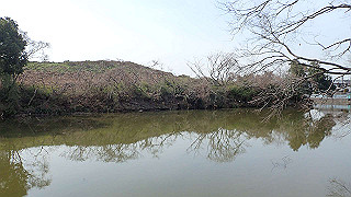 p2180556_thumb.jpg